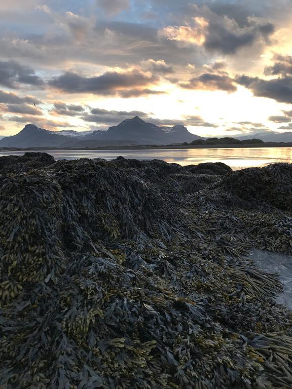 Framtid Camping Lodging Barrels Djúpivogur Kültér fotó